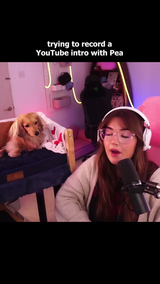 Post 5 by poopernoodle on TikTok (video)