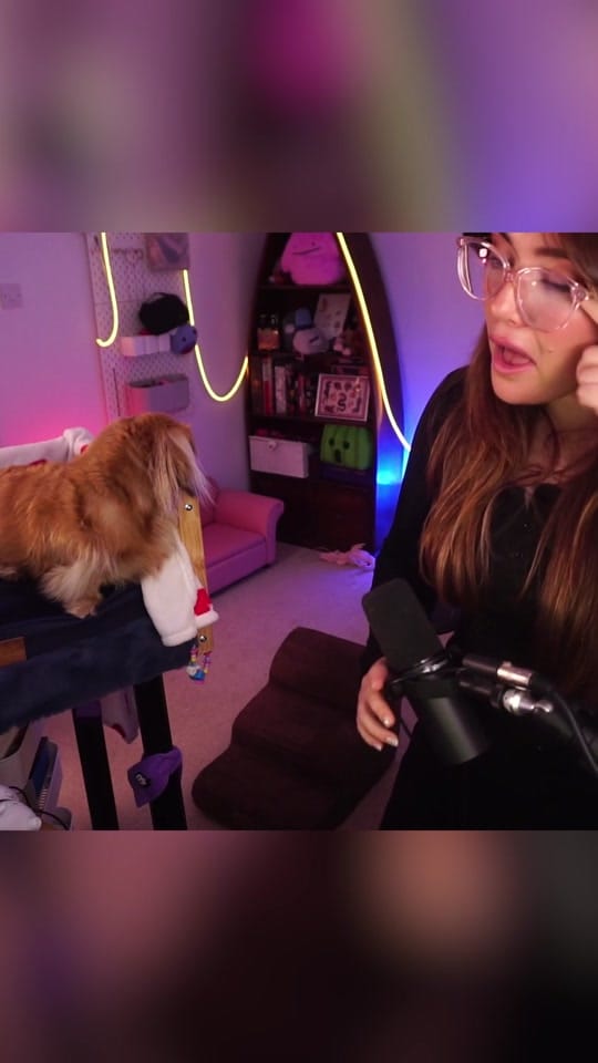 Post 4 by poopernoodle on TikTok (video)