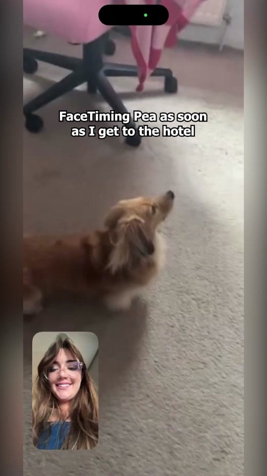 Post 7 by poopernoodle on TikTok (video)
