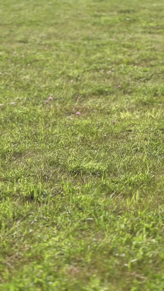 Post 3 by sydneygray on TikTok (video)