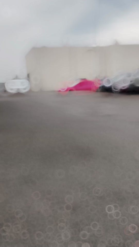 Post 7 by sydneygray on TikTok (video)