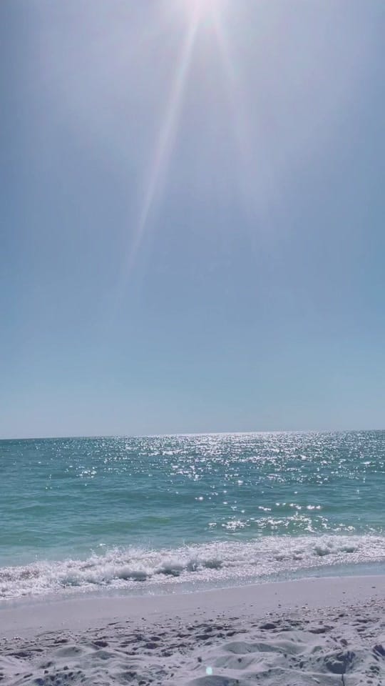 Post 10 by sydneygray on TikTok (video)