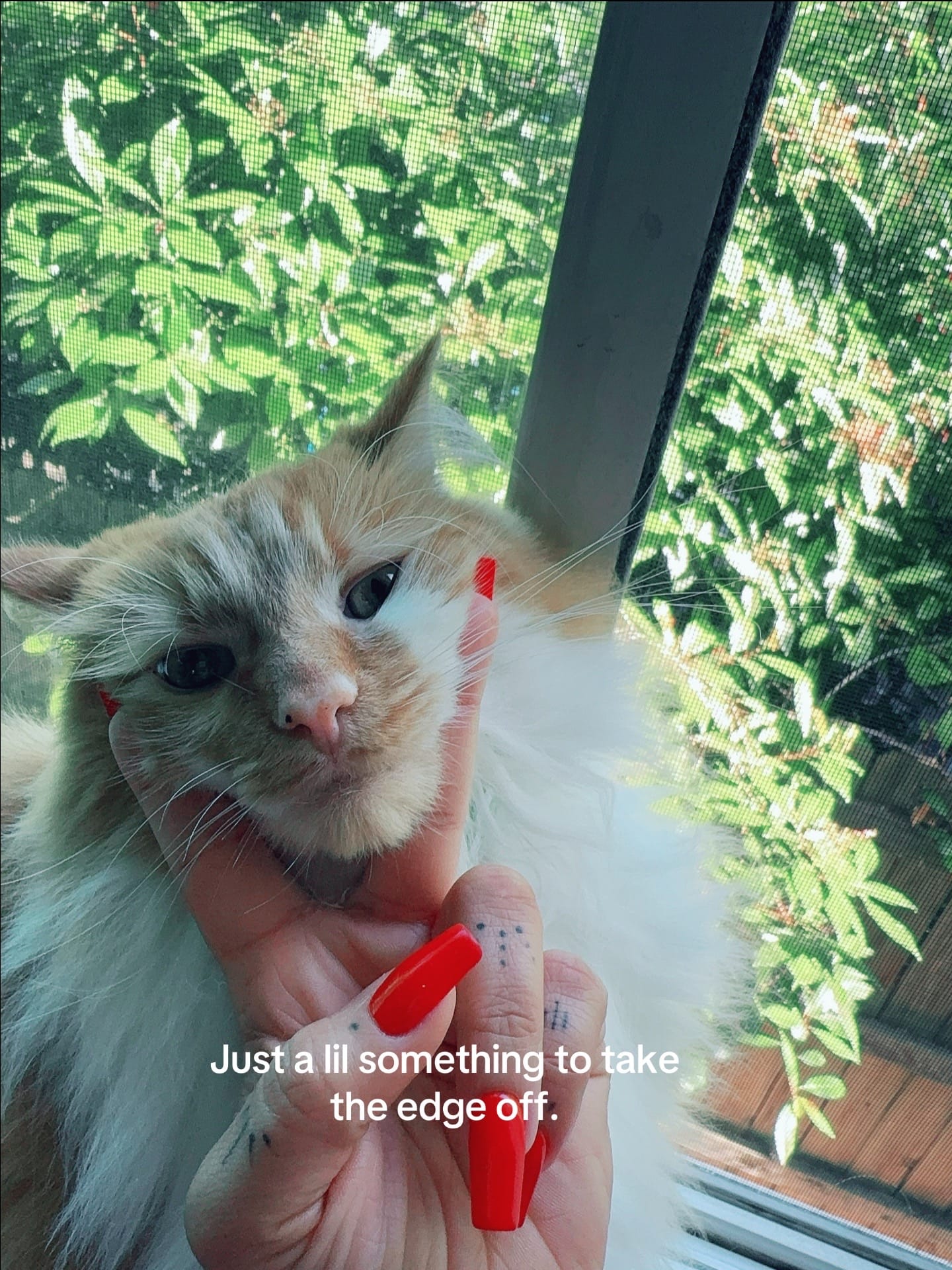 Post 7 by Andrea Stewart on TikTok (video)