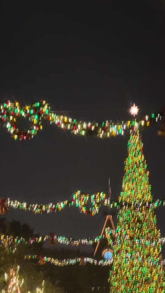 Post 6 by alyssaontherocks🪽 on TikTok (video)