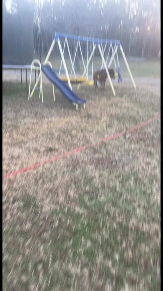 Post 10 by Chelsea Maslanka on TikTok (video)