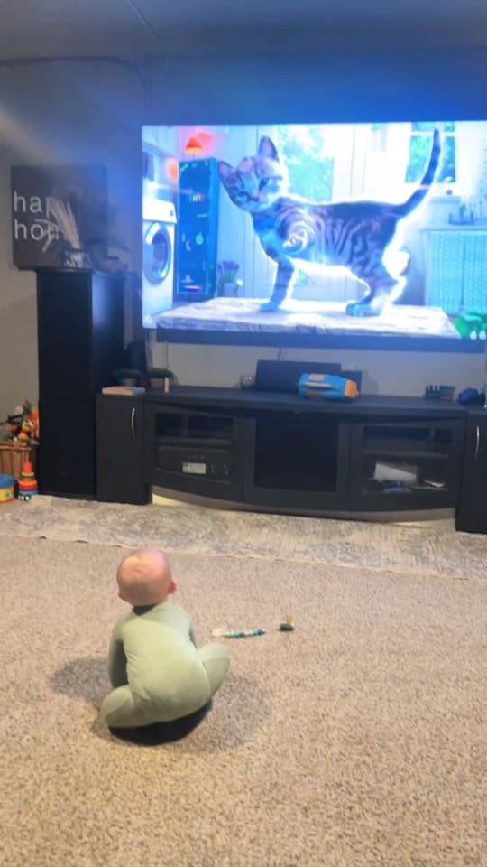 Post 9 by Chelsea Maslanka on TikTok (video)