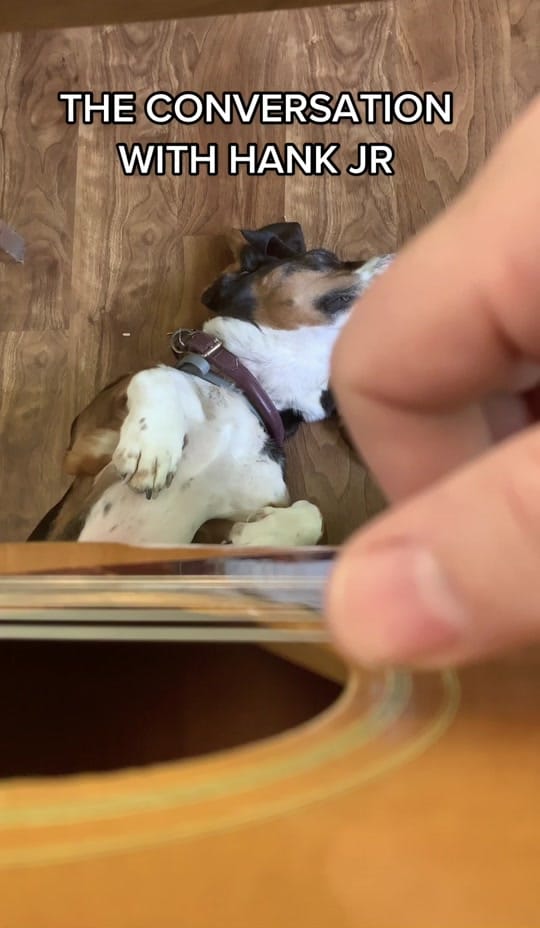 Post 10 by channingwilsonmusic on TikTok (video)