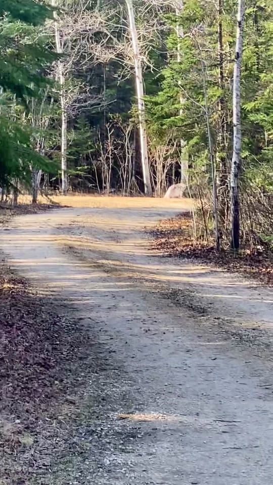 Post 3 by ryan811adrian on TikTok (video)