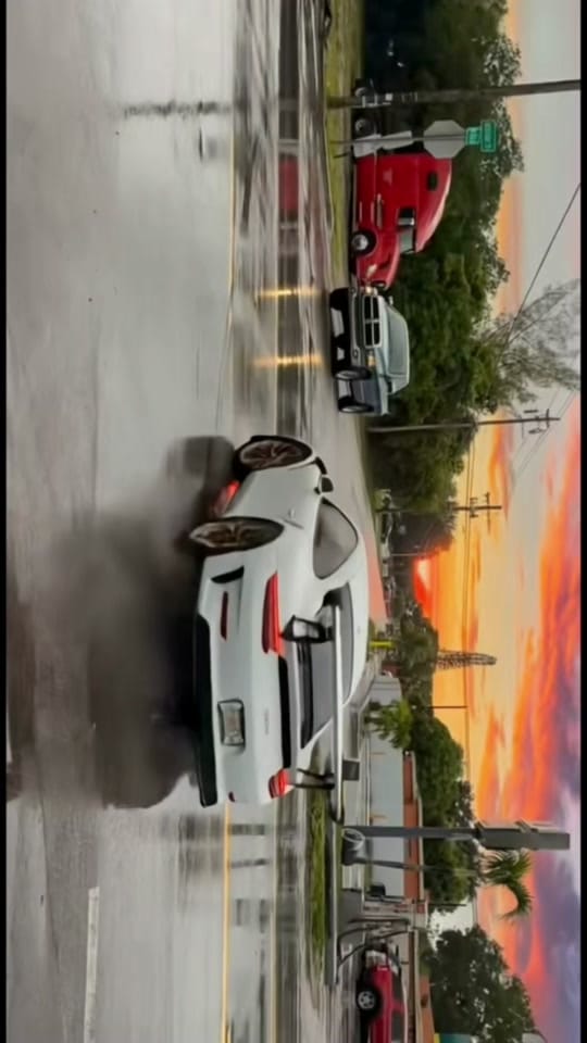 Post 10 by lacasitatropicahollywood on TikTok (video)