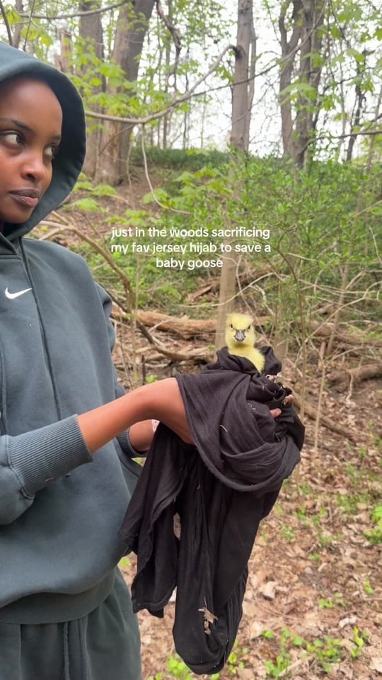Post 2 by sumaya 💌 on TikTok (video)
