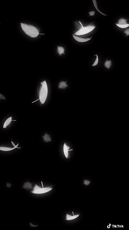 Post 4 by 🎭 Avvy 🎭 on TikTok (video)