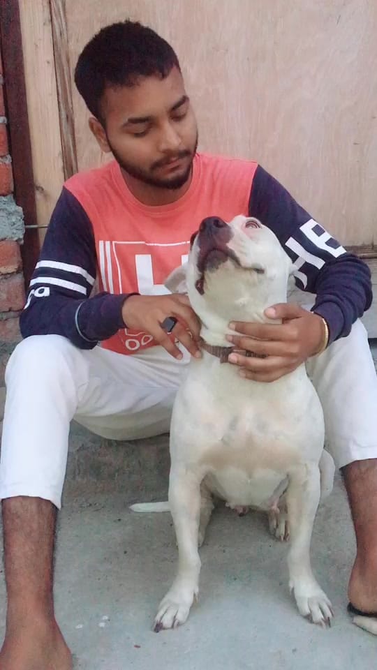 Post 7 by 🎭 Avvy 🎭 on TikTok (video)