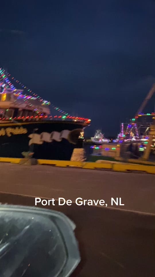 Post 5 by Carly Gamberg on TikTok (video)