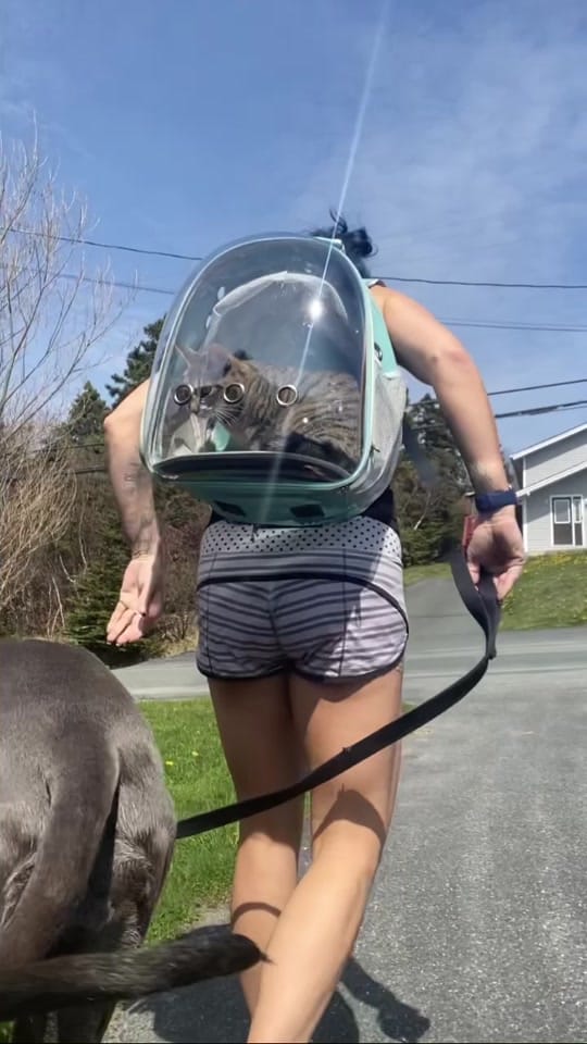 Post 1 by Carly Gamberg on TikTok (video)