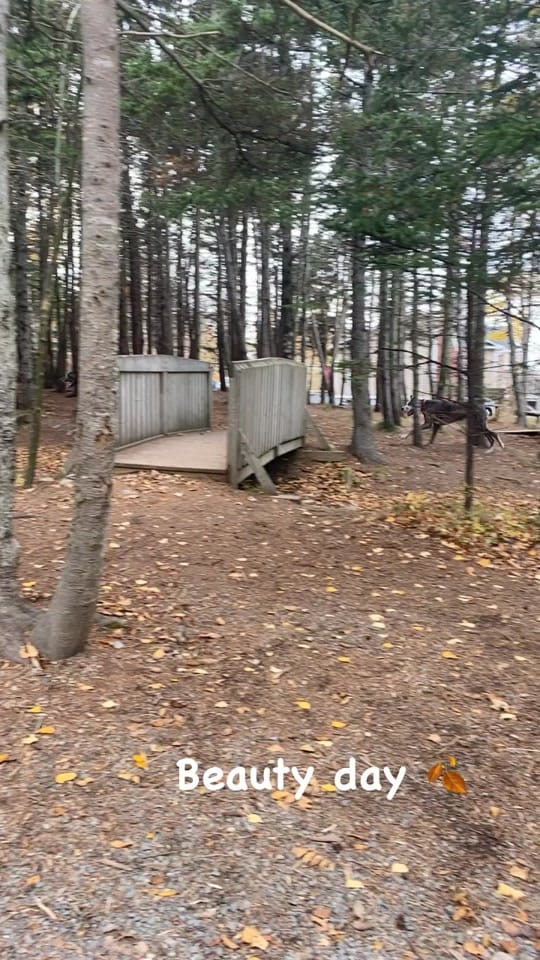 Post 9 by Carly Gamberg on TikTok (video)