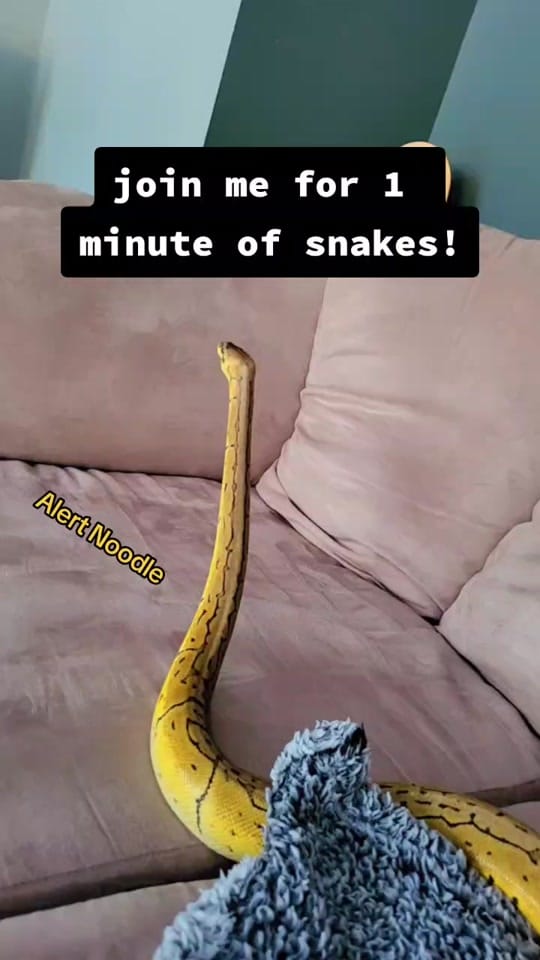 Post 4 by Bouie Boi on TikTok (video)