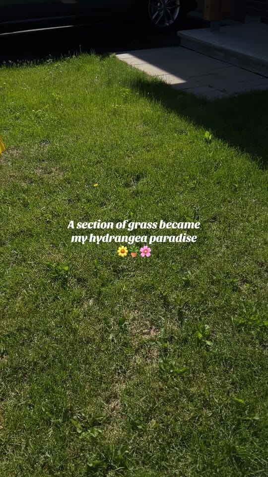 Post 4 by Skin & Sweat by M on TikTok (video)