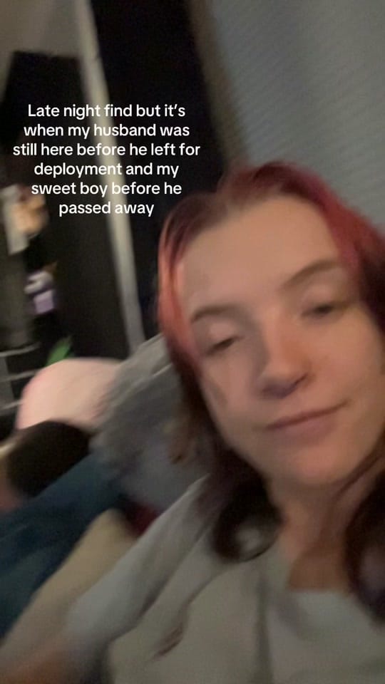 Post 3 by Shonna Fenton 🦋 on TikTok (video)