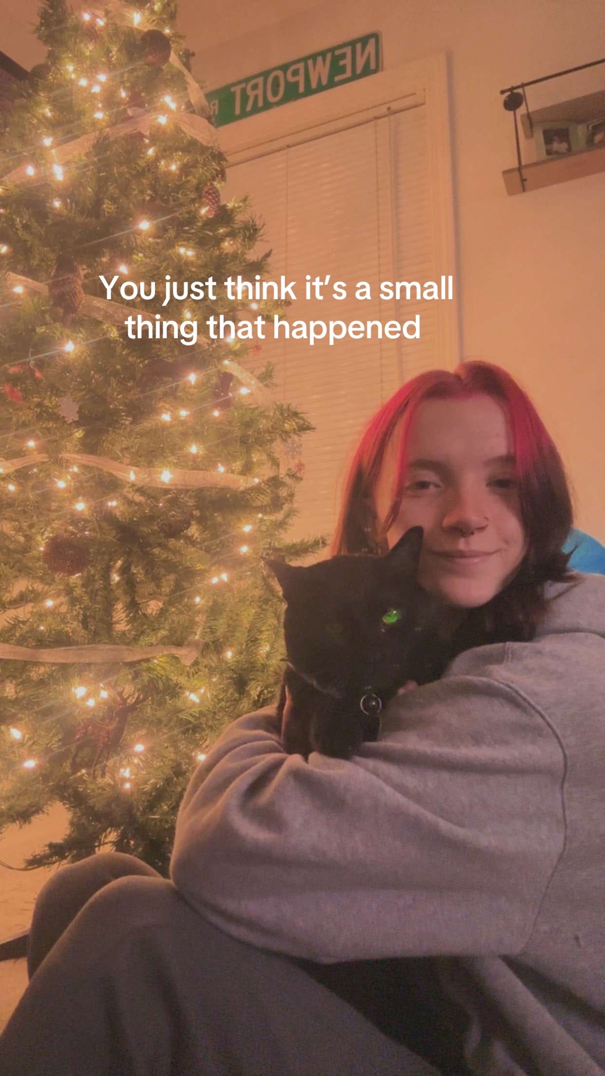 Post 6 by Shonna Fenton 🦋 on TikTok (video)