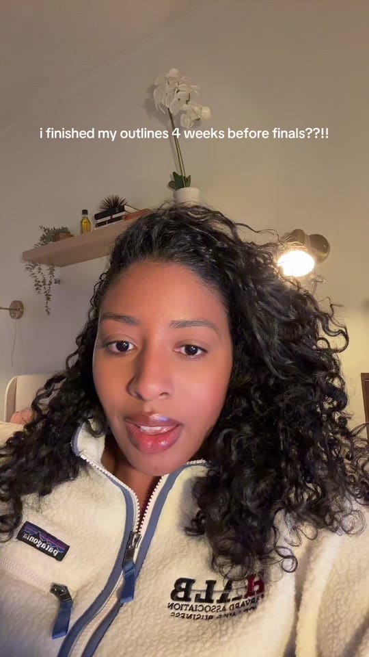 Post 6 by chelseahamlet on TikTok (video)