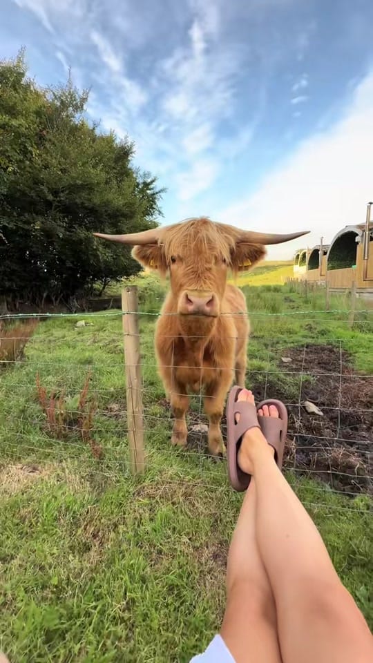 Post 3 by coorieretreats on TikTok (video)