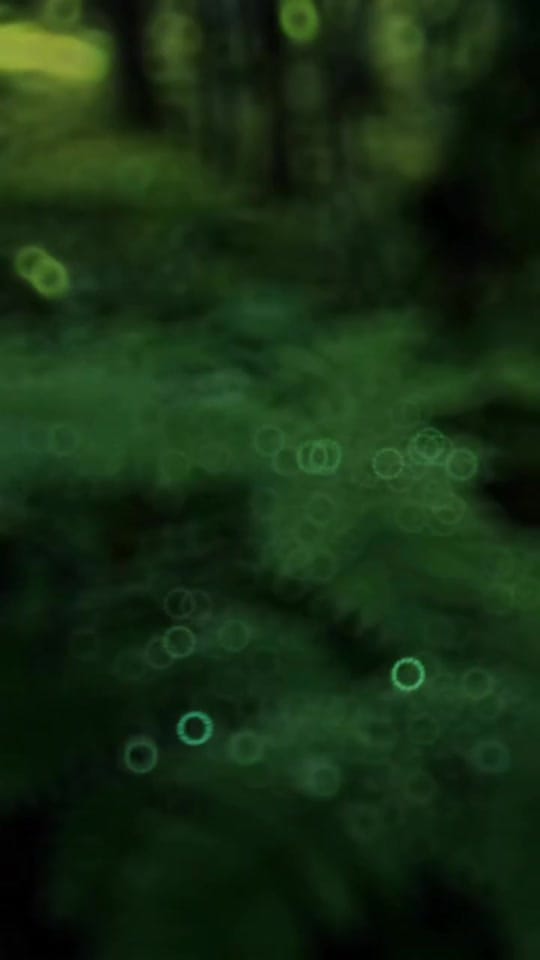 Post 4 by Raja Padhiana on TikTok (video)