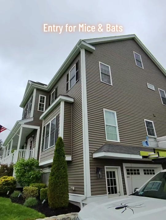 Post 7 by 𝐁𝐊 𝐏𝐞𝐬𝐭 on TikTok (video)