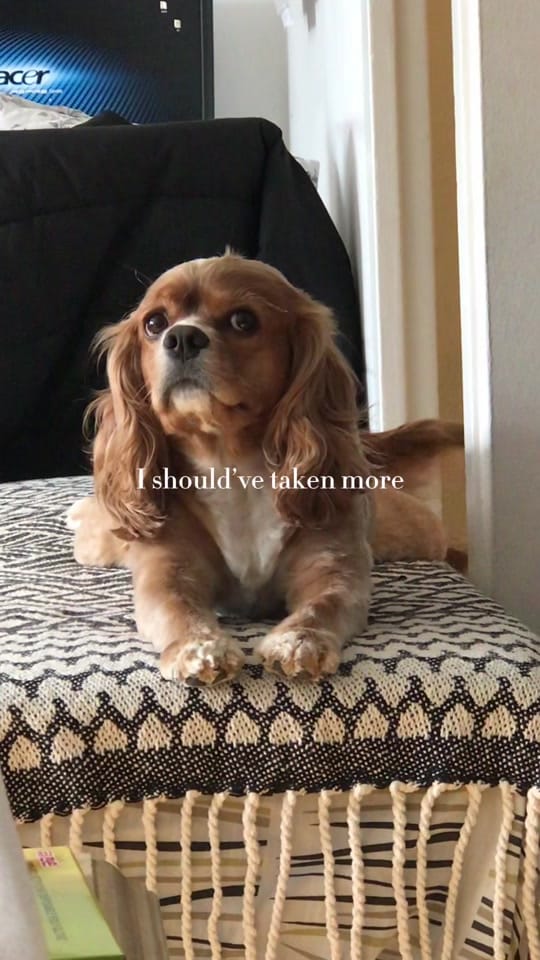 Post 3 by liz park on TikTok (video)