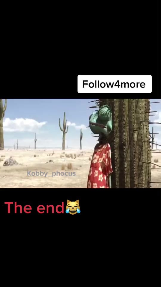 Post 3 by CFC OBEY on TikTok (video)