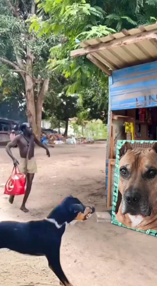 Post 8 by La Carreta musical RD on TikTok (video)