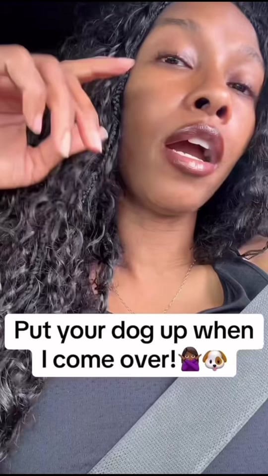 Post 9 by Lucky the Dork Dad on TikTok (video)
