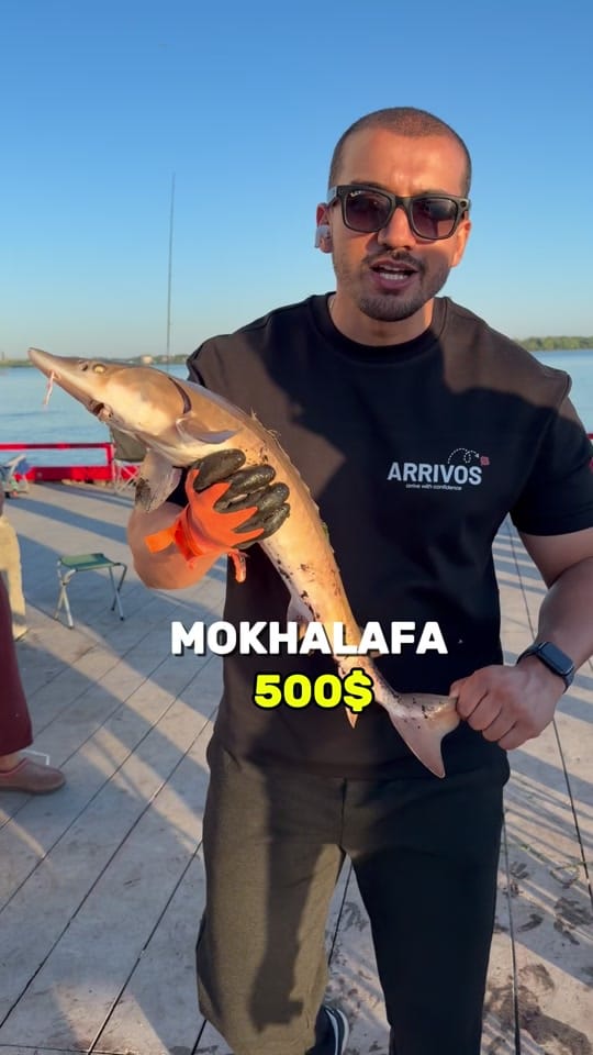 Post 3 by Akram lehouara on TikTok (video)
