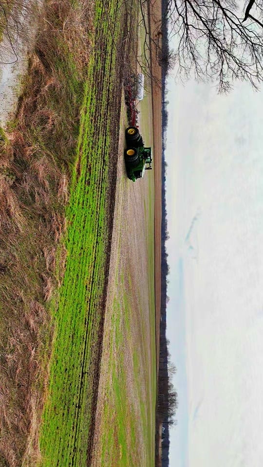 Post 2 by Cameron H. on TikTok (video)