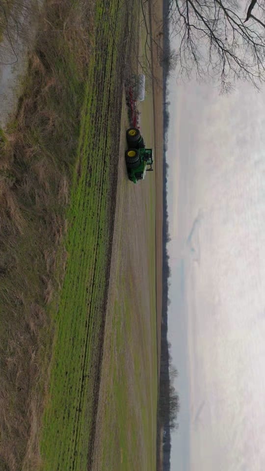 Post 4 by Cameron H. on TikTok (video)