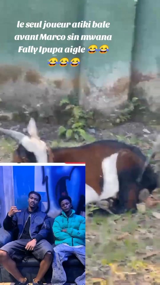 Post 9 by wiz thug brownman🇨🇩 on TikTok (video)
