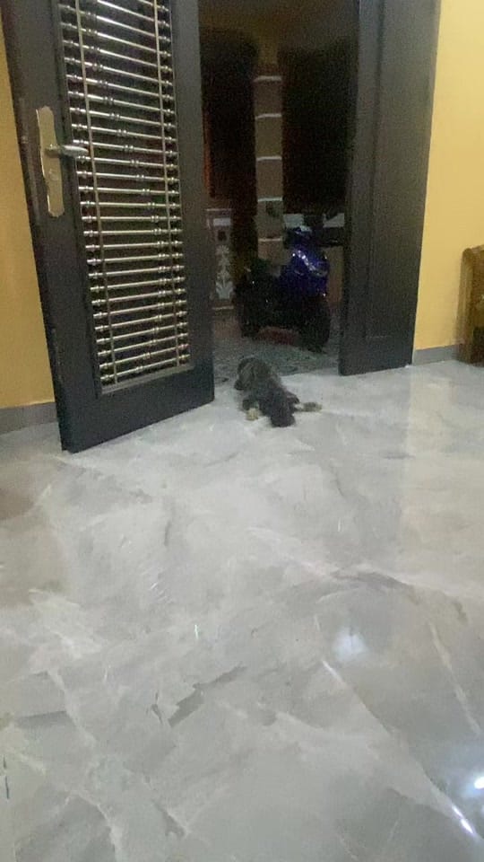 Post 5 by SK BALAN on TikTok (video)