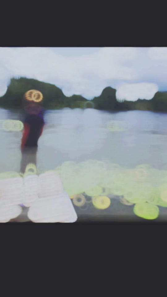 Post 2 by Ryan on TikTok (video)