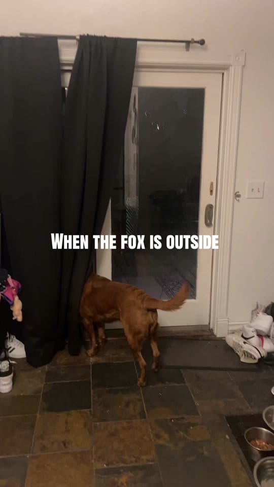 Post 1 by ipolishuprealnoice on TikTok (video)