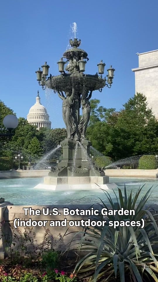Post 2 by Asala Raqs on TikTok (video)