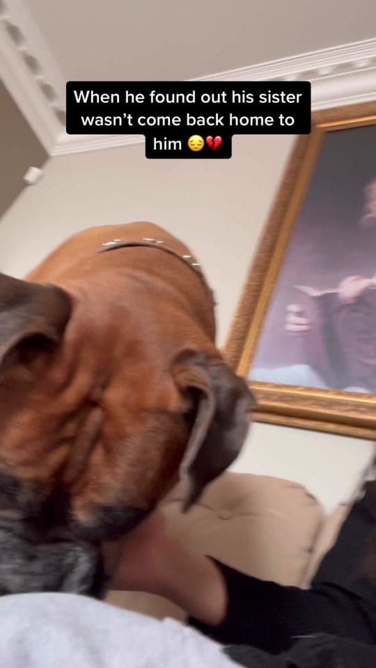 Post 9 by Paulina on TikTok (video)
