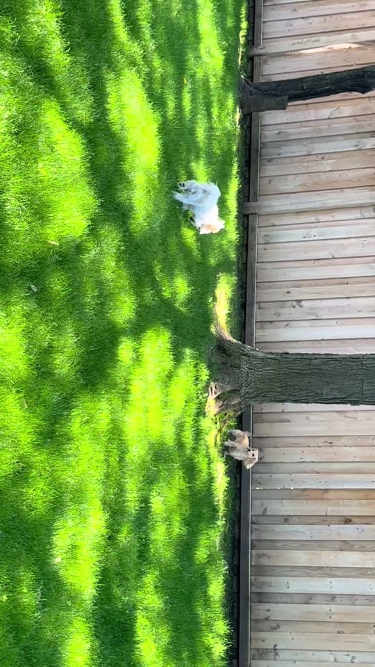 Post 1 by Paulina on TikTok (video)