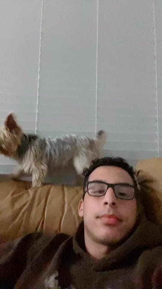 Post 8 by derekdagger on TikTok (video)