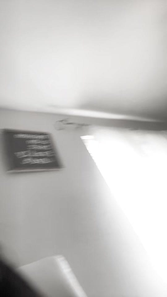 Post 10 by Chelsea Gonzales on TikTok (video)