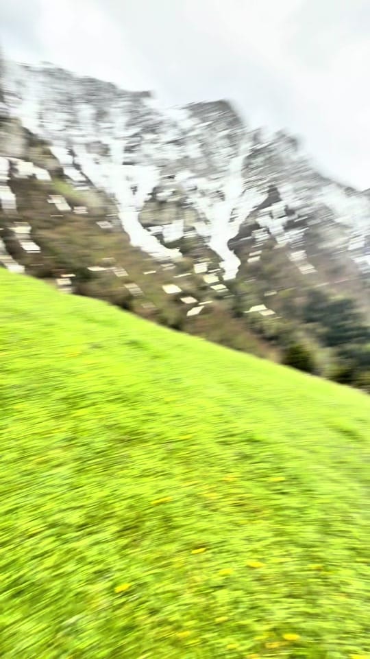 Post 7 by Dzotsenidze Giorgi on TikTok (video)