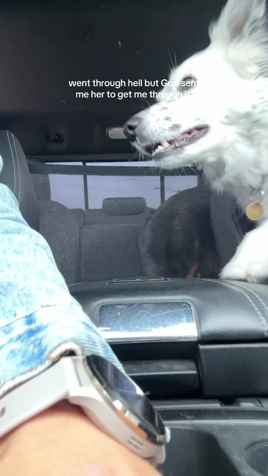 Post 5 by Chelsea on TikTok (video)