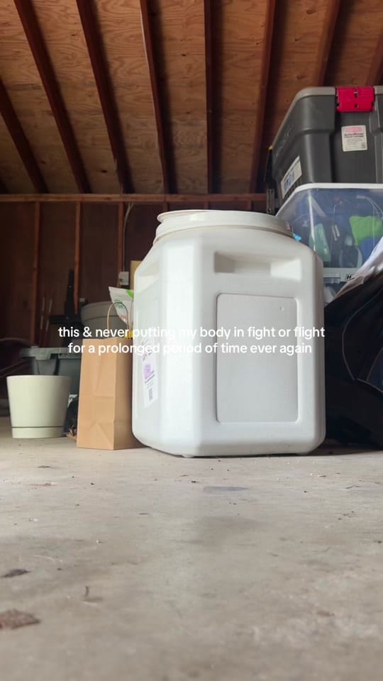 Post 9 by Chelsea on TikTok (video)