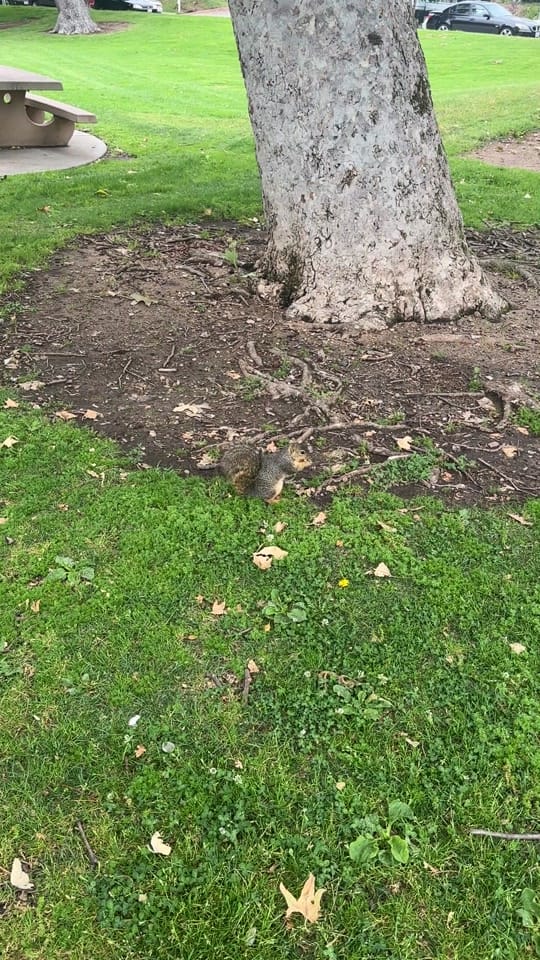 Post 8 by EGO on TikTok (video)