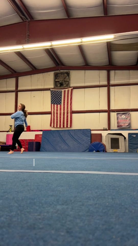 Post 5 by Sarah Blevins on TikTok (video)