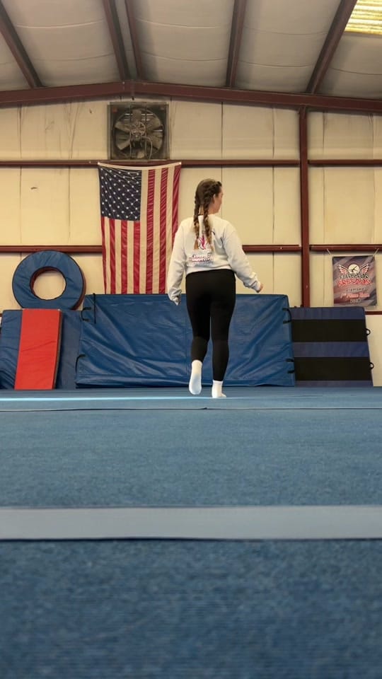 Post 9 by Sarah Blevins on TikTok (video)