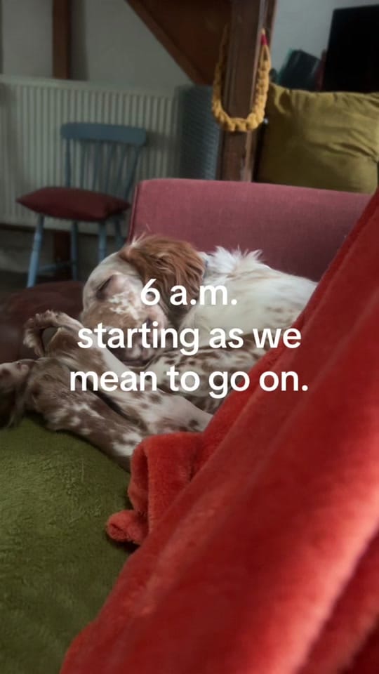 Post 5 by Paul Gash on TikTok (video)